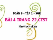 Bài 4 trang 22 Toán 9 tập 1 Chân trời sáng tạo SGK
